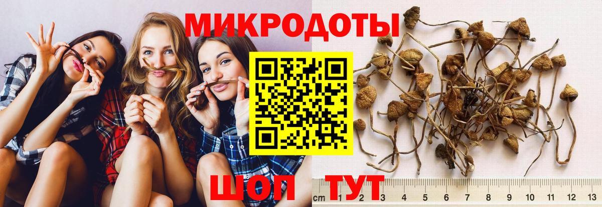 Галлюциногенные грибы ЛСД Шали